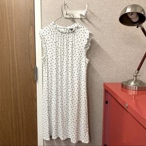 Adorable Adrianna Papell Spring-Summer Shift Dress